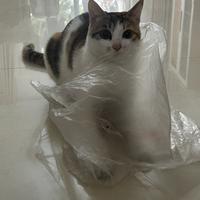 用户886423145231头像