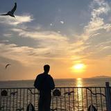 用户442430981567头像