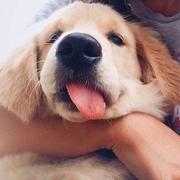 NuyoH的个人资料头像