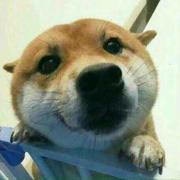 瓜皮1478441110028的个人资料头像