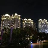 安定2022头像