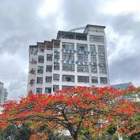 新能源充电站桩开拓者头像