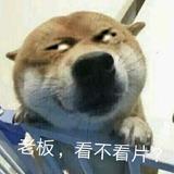 韩縗娃头像