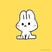 微风洋洋的个人资料头像