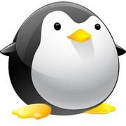 rayylee的个人资料头像