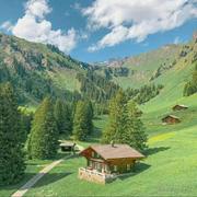 爱璀璨的个人资料头像