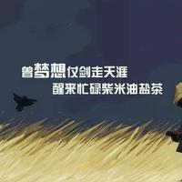 江湖灬不归客头像