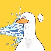 爱看动画的小毕头像