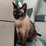 无双轮船3Dz头像