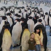 消费电子研究头像