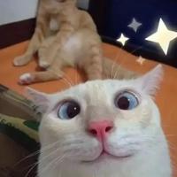 用户8532251631602头像