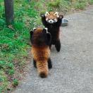 凌烟阁里君臣义的个人资料头像