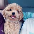 以后🙏头像