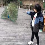 YHLH168头像