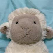 YangZzz的个人资料头像