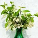 伟不想说话58216的个人资料头像