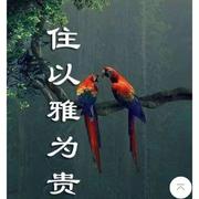 sl109的个人资料头像