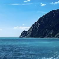 豁达奶酪RTA头像