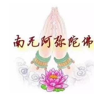 珊栅头像