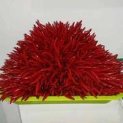 Harry_2023的个人资料头像