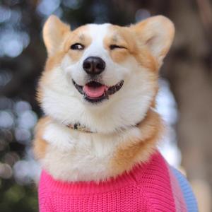 小叽姐姐头像