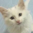 一个不安分的程序员的个人资料头像