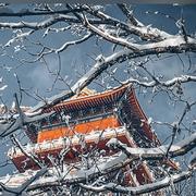 阿慢的个人资料头像