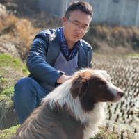 人生若只如初见Y头像