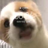 牛B可拉屎头像