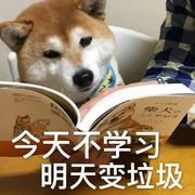 半世轮回半世寻的个人资料头像