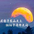 天狼星star头像