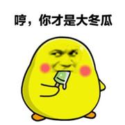 夏天吃冬瓜的个人资料头像