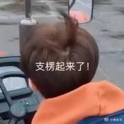melody_ww的个人资料头像