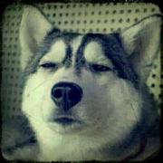 用户4753542267568的个人资料头像