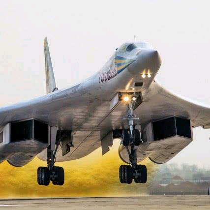 小小小白看世界头像