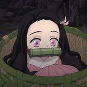 浮云般的美好的个人资料头像