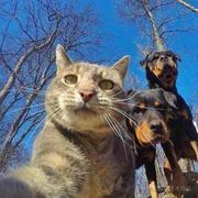 大鸣的个人资料头像