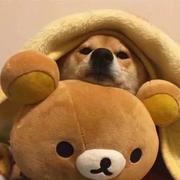 用户8163963050621的个人资料头像