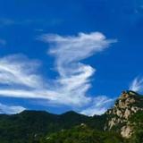 艳阳天5533头像