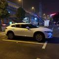 搞文学的小猪哥哥头像