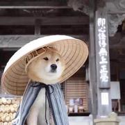 酷酷的三十的个人资料头像