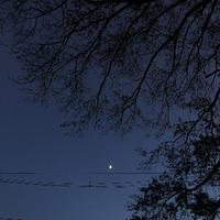 酒去人断肠头像