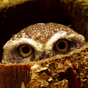 冬有你暖的个人资料头像