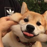 李白不白_的个人资料头像