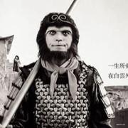 小白的第一行代码的个人资料头像