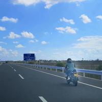 阿歪逗是歪头像