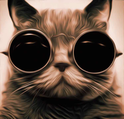 QSnowy的个人资料头像