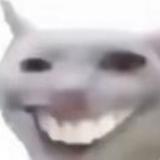 热闹旭日Zyy头像