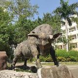 百马bh头像