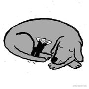 ifeng要努力的个人资料头像